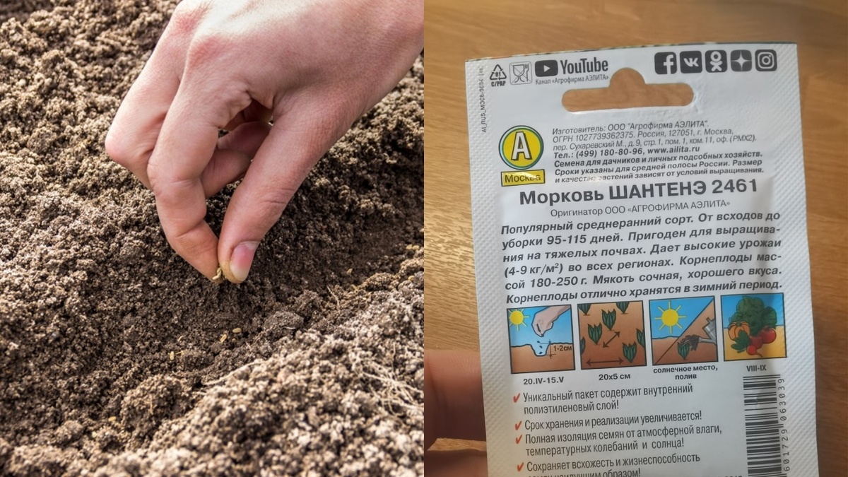 Проверенная семерка - основа стабильного урожая