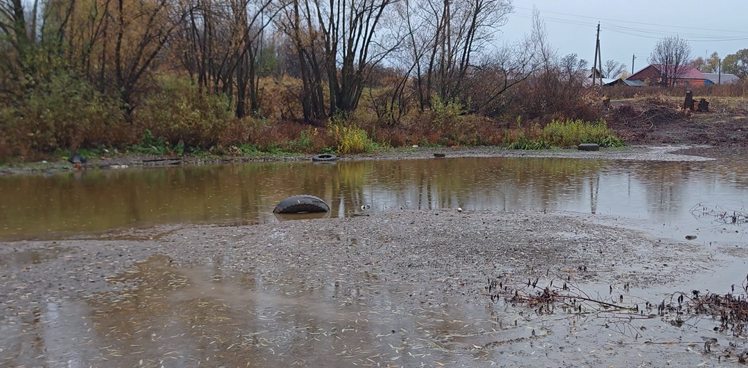 Единственная находка из озера, зато какая.