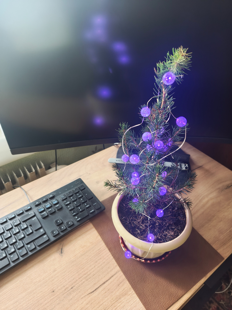 Новогодний наряд.