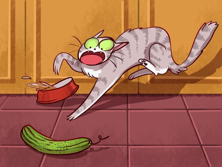 Фото не автора поста 