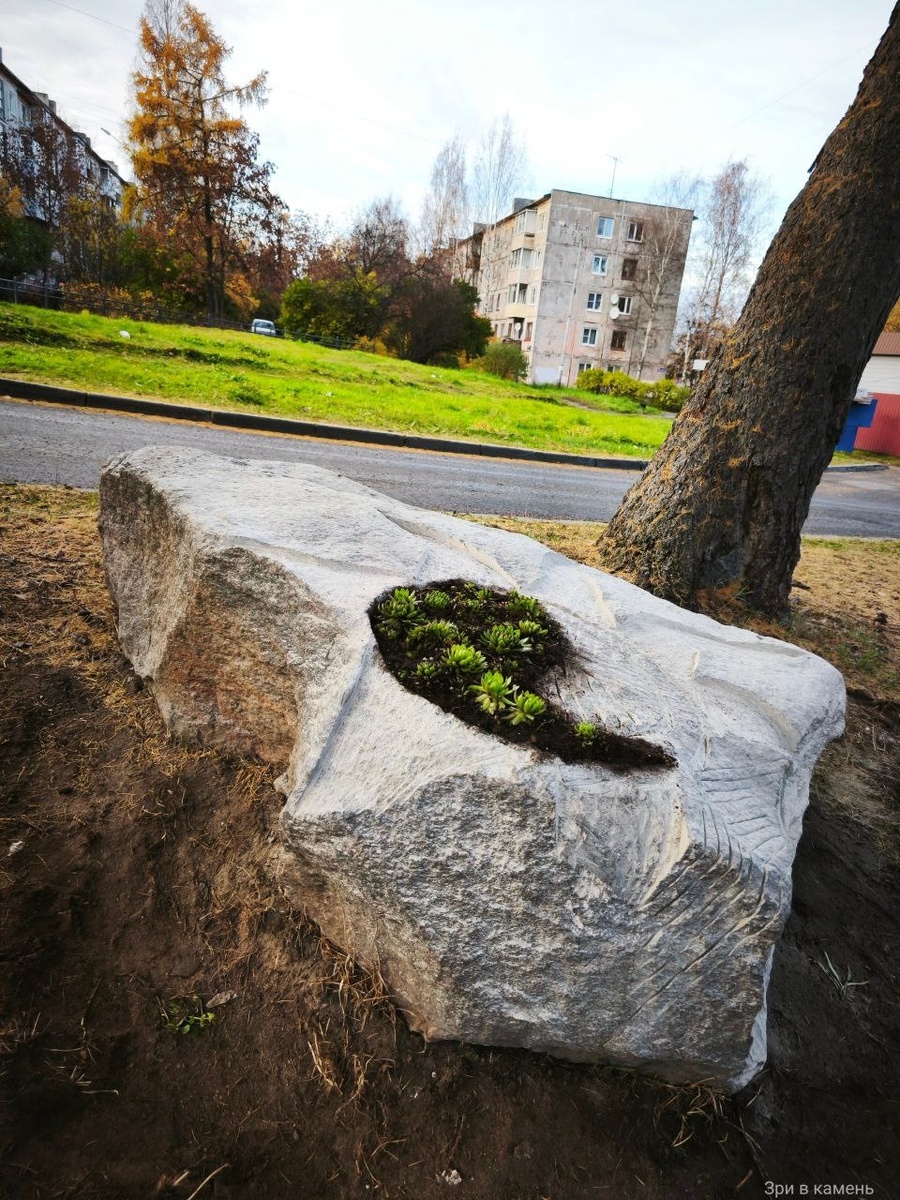    паблик "Типичный Петрозаводск"