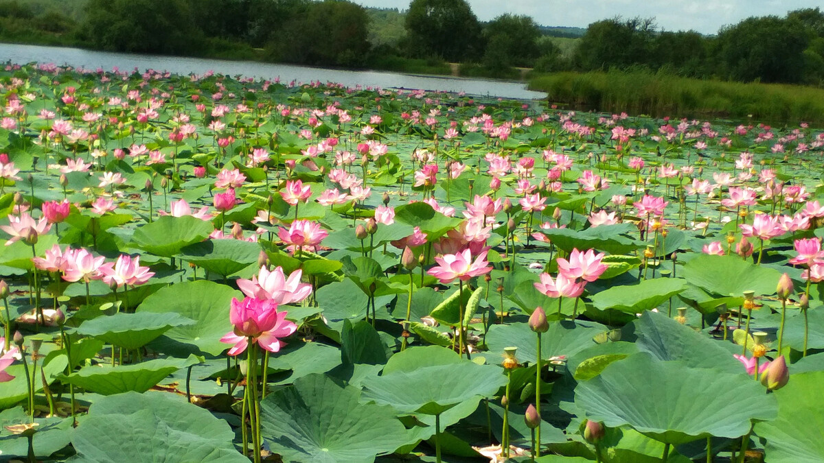 Фото с просторов интернета 