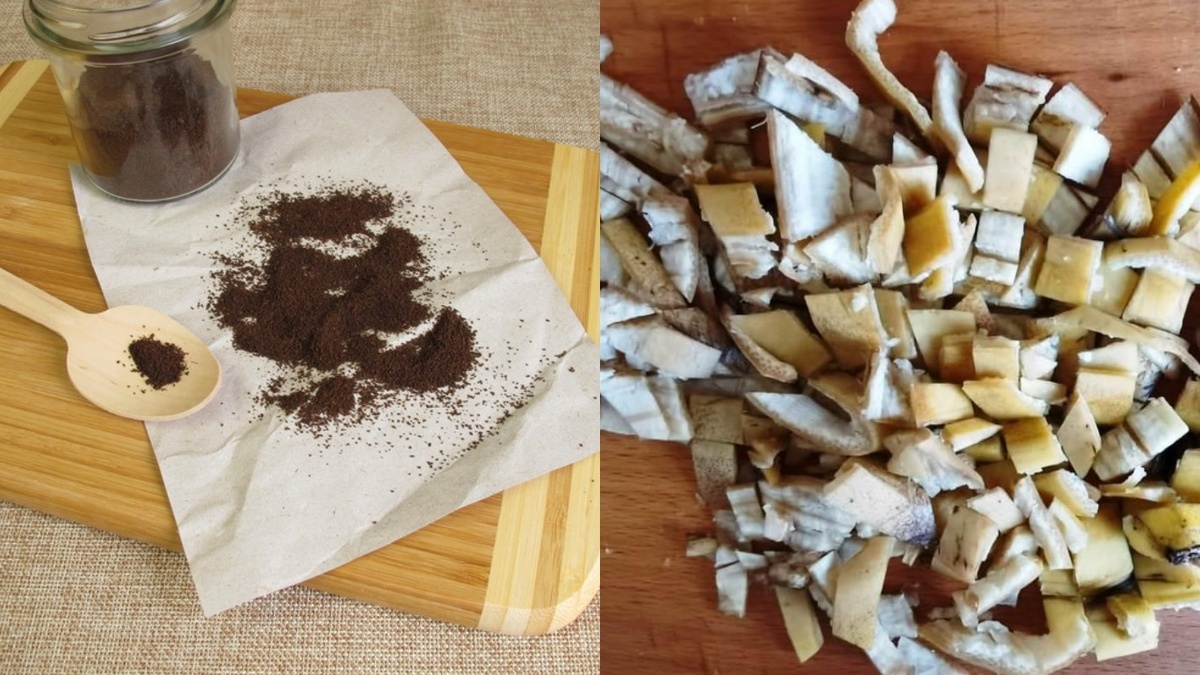 Банановые корки и кофейная гуща превзошли все ожидания