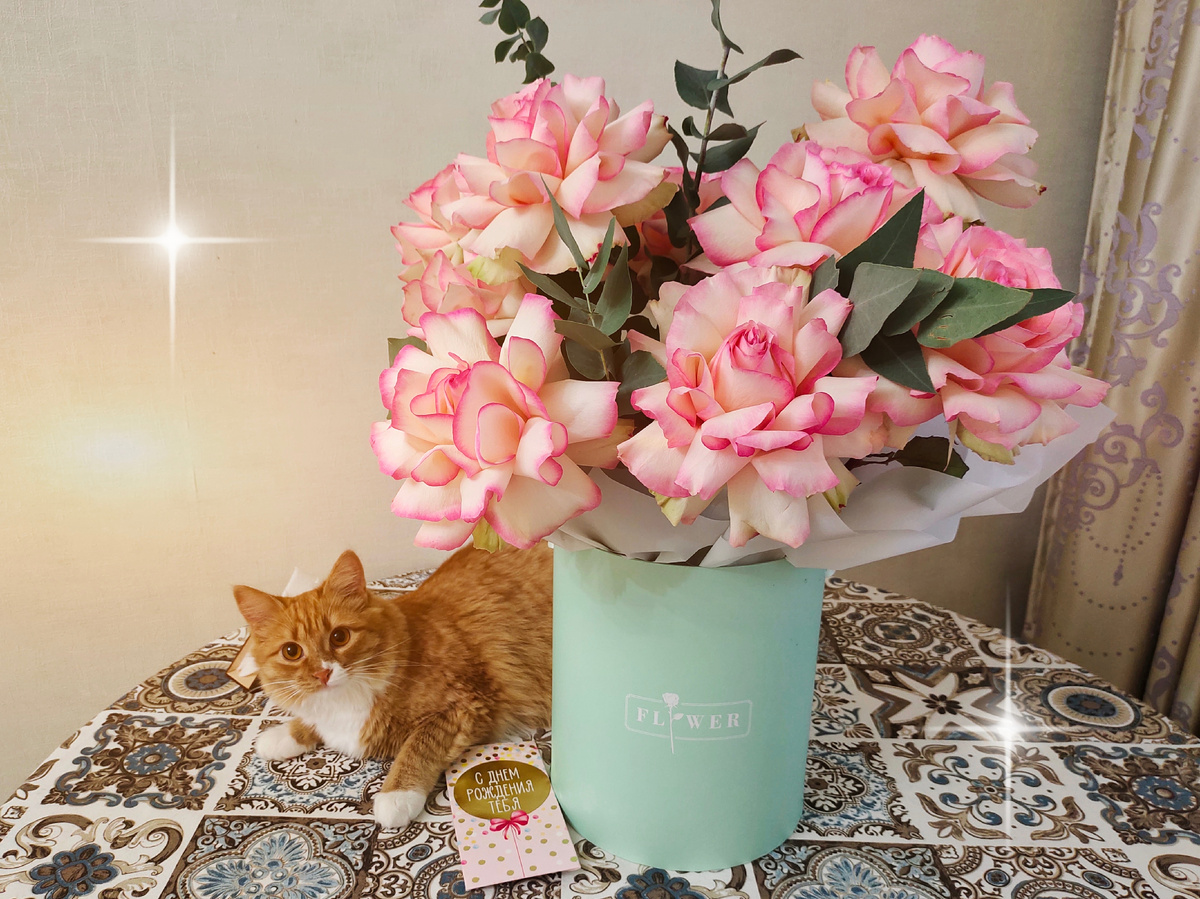 Лучший подарок - конечно же кот! Цветы тоже прекрасны