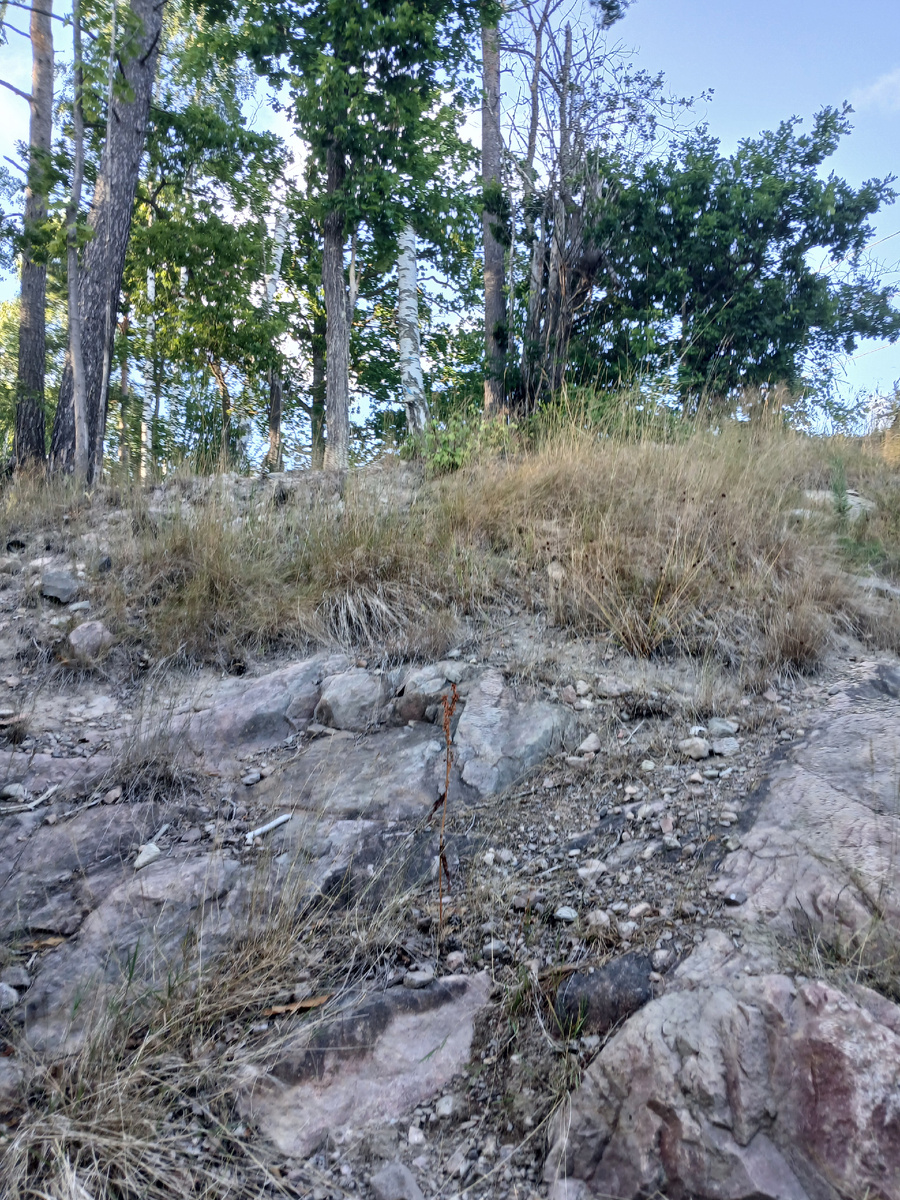 Фото из личного архива 