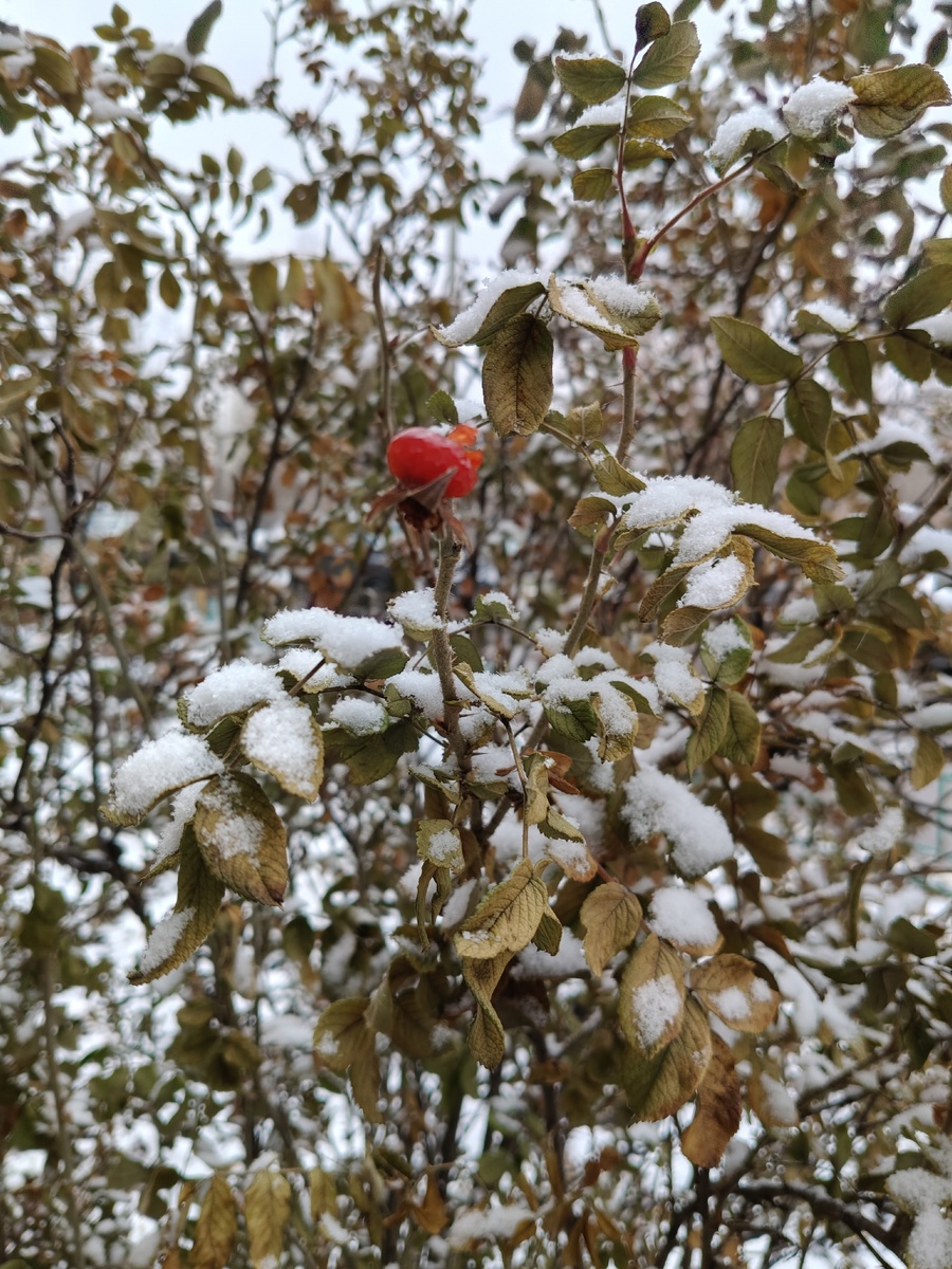 Все фото автора