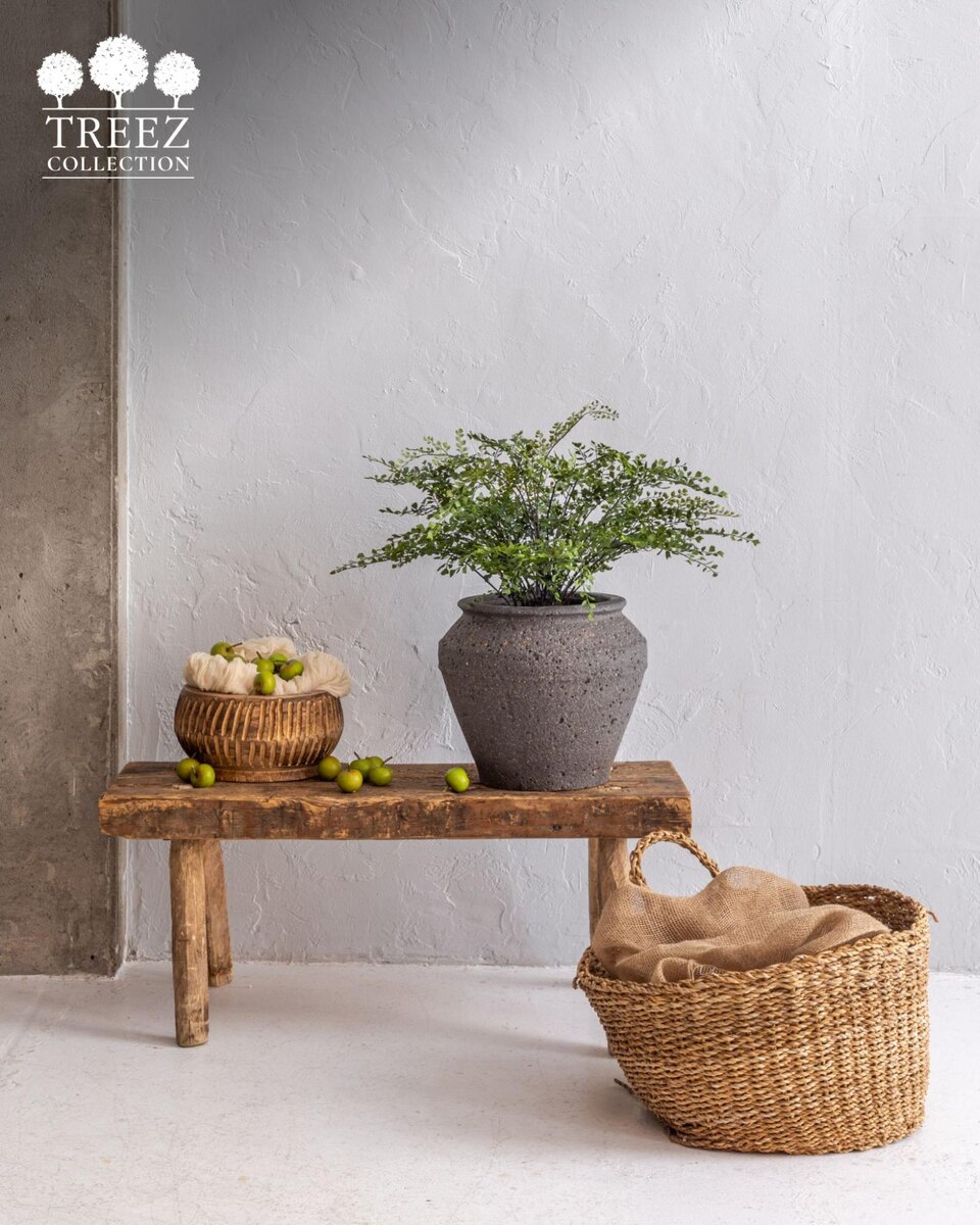 Кашпо и растения TREEZ Collection