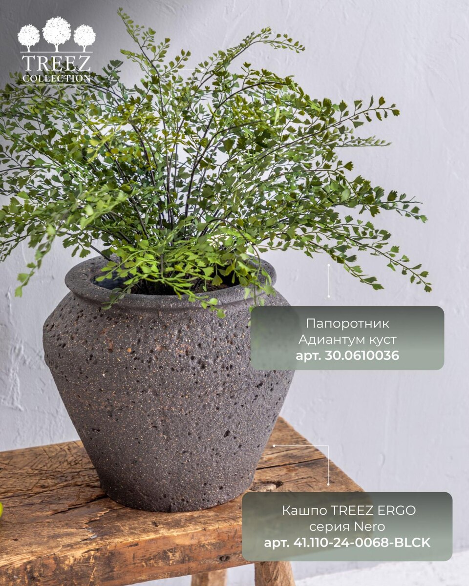 Кашпо и растения TREEZ Collection