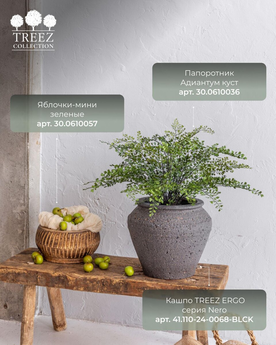 Кашпо и растения TREEZ Collection