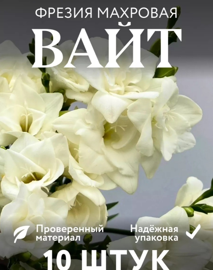 И это она. Вот что вырастет - вопрос. Поглядим. 