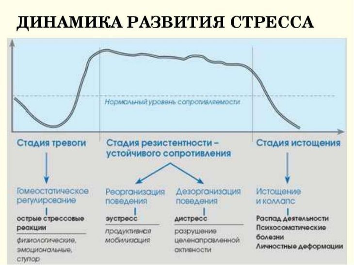 Силовые тренировки - это дикий стресс. При постоянных тренировках наступает истощение, как на этом графике, который построил эндокринолог Ганс Селье после многолетних опытов над животными и людьми. 