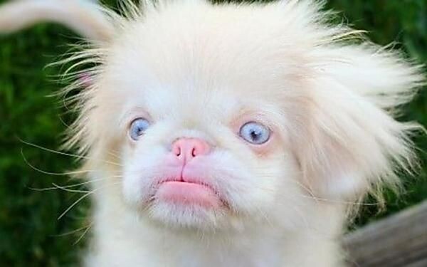 Библиотека Фермера - https://vk.com/docs-228859671