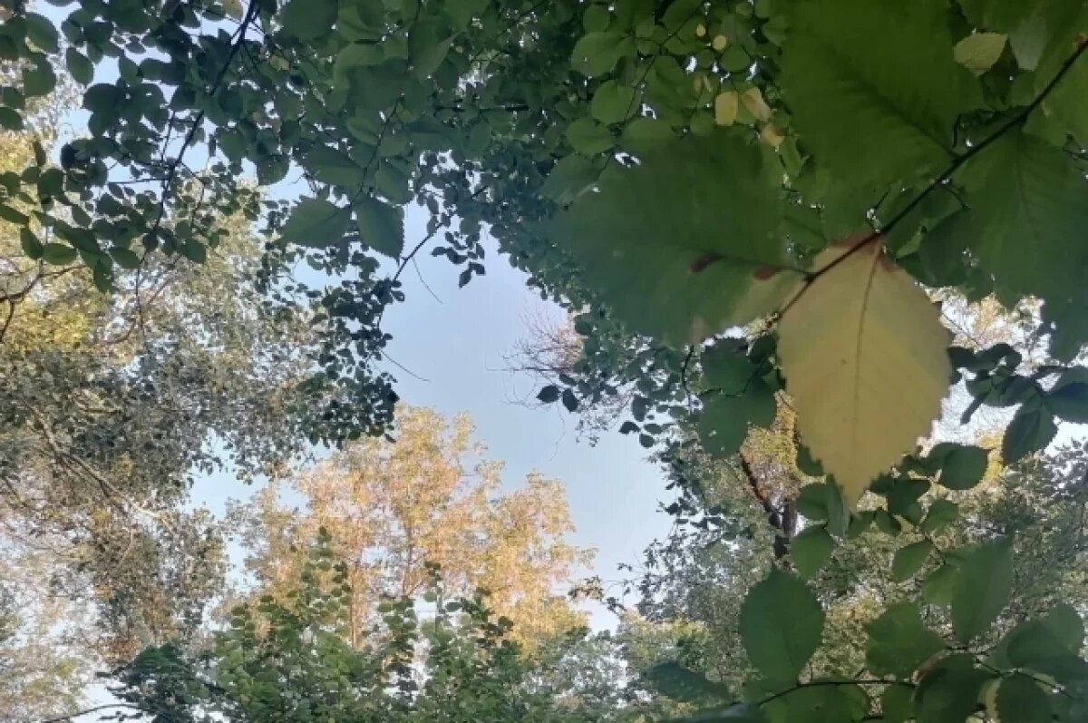    Погода в Татарстане будет нестабильной.