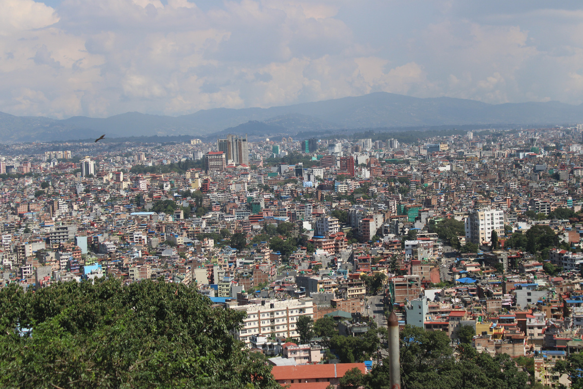 Орел парит - вон слева