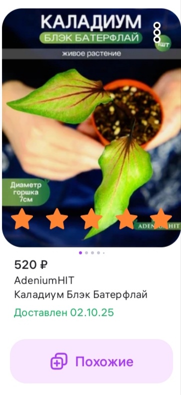 Карточка товара. Сейчас его нет в продаже.