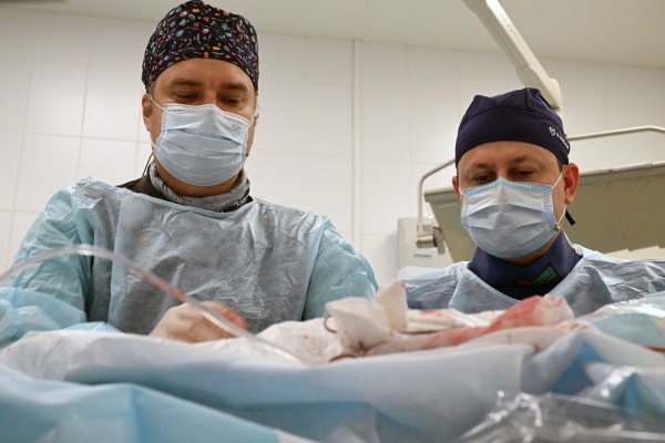 Фото: РИА Новости/Константин Михальчевский