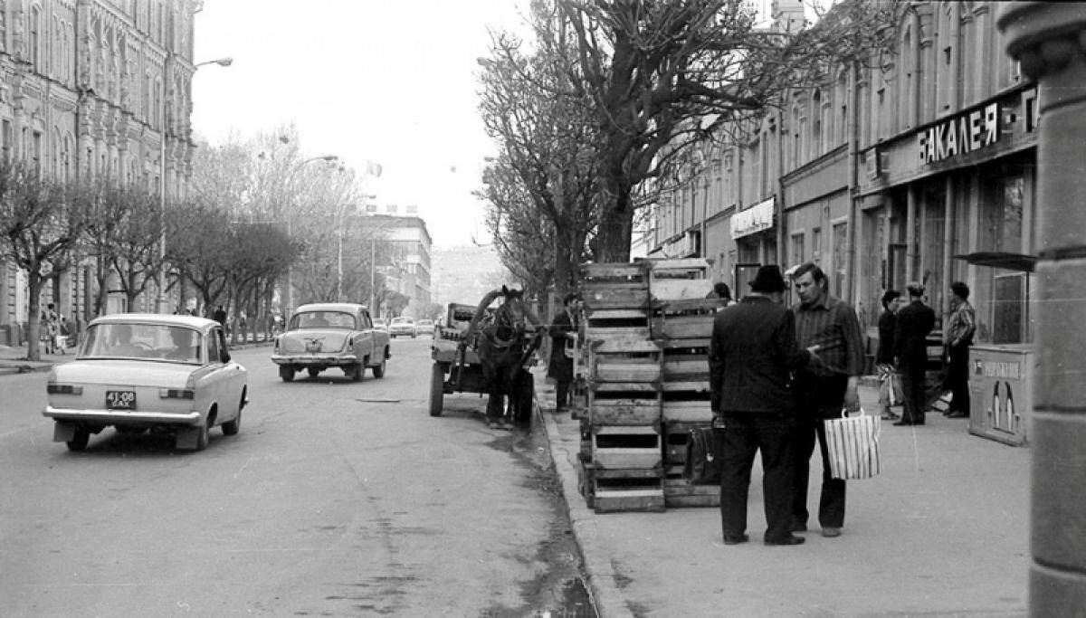 В городе началась паника. 