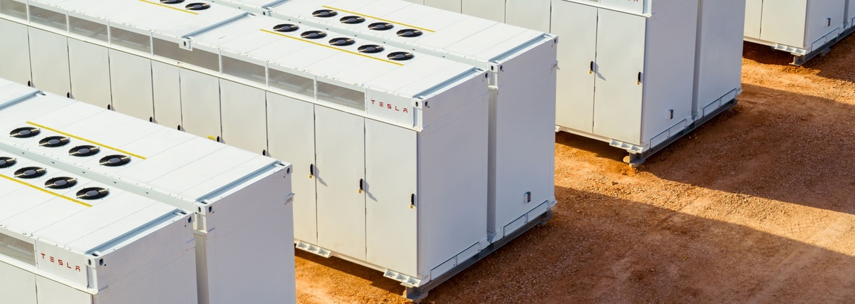 Фото Tesla  📷
