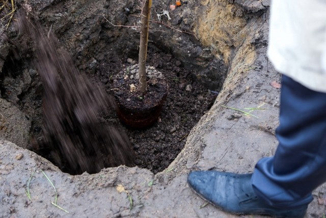   Фото из архива Калининград.Ru