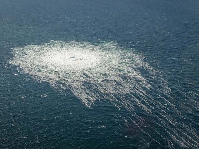    Фото: РИА Новости/Командование обороны Дании