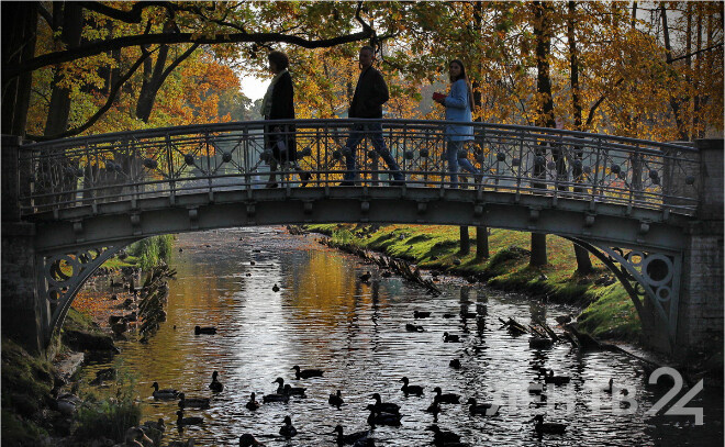    © Анастасия Илюшина / ЛенТВ24, архивное фото