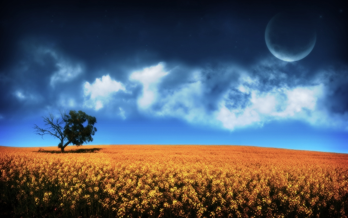 Ребята, на очередном занятии мы погружаемся в самый интересный этап – практику! Вы узнаете, какие инструменты станут вашей игровой площадкой, лабораторией и верстаком. Мы подробно разберём три кита для промт-инженера: ChatGPT как универсальный диалоговый тренажёр, Midjourney и Stable Diffusion для генерации потрясающих изображений и Claude от Anthropic для работы с длинными текстами. 
Я не просто перечислю названия, а покажу живые примеры, как с ними работать, сравню их сильные и слабые стороны и поделюсь лайфхаками, которые сэкономят вам часы проб и ошибок. Готовьтесь превратиться из теоретика в практика и наконец-то начать творить!
