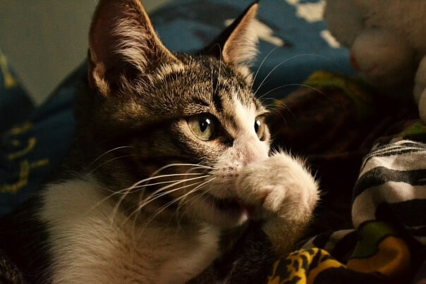 Не пойму, в чём причина, вроде всё правильно делал?!