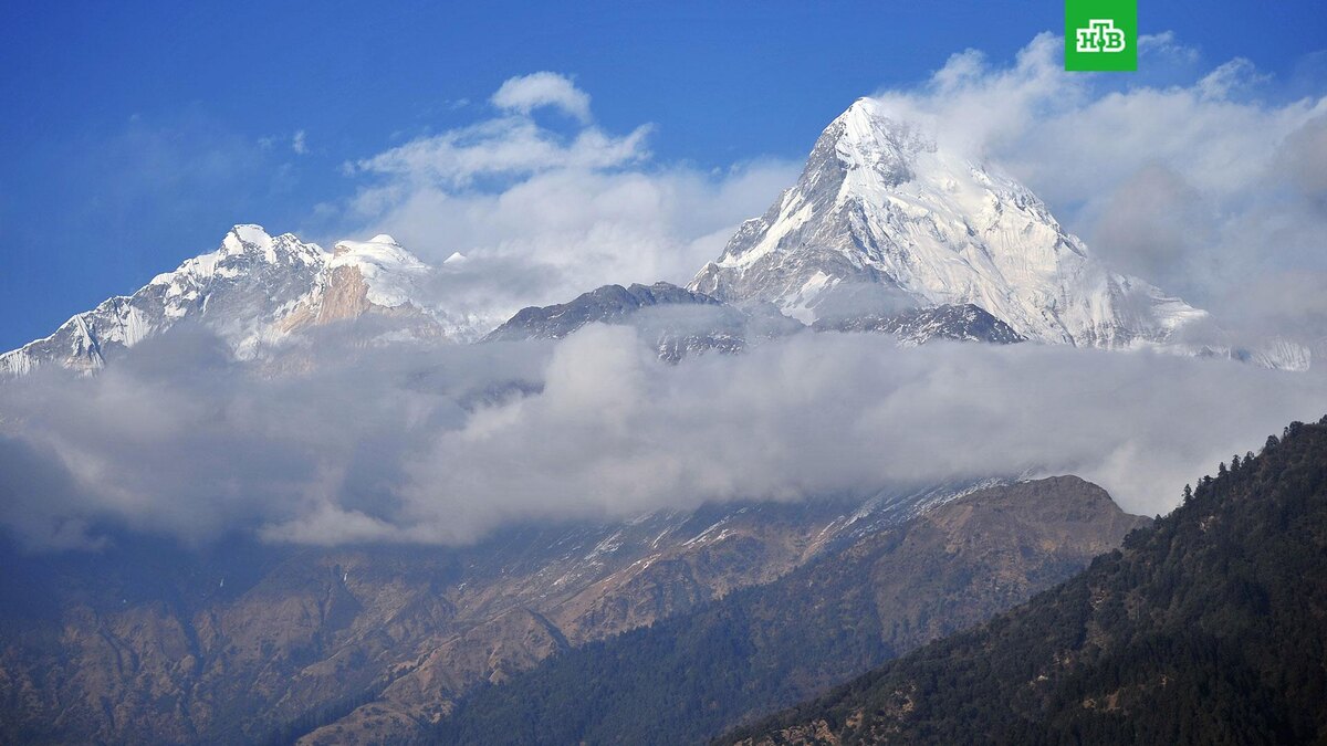    Фото: РИА Новости © 2025, Владимир Астапкович