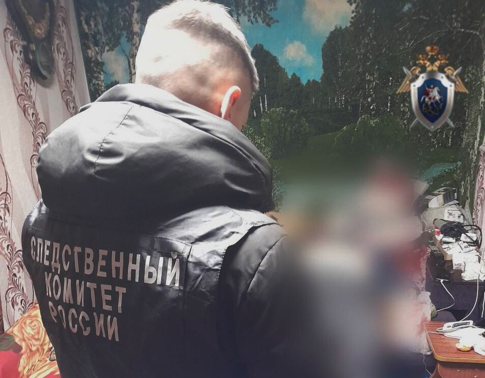     / Источник: Следственный комитет