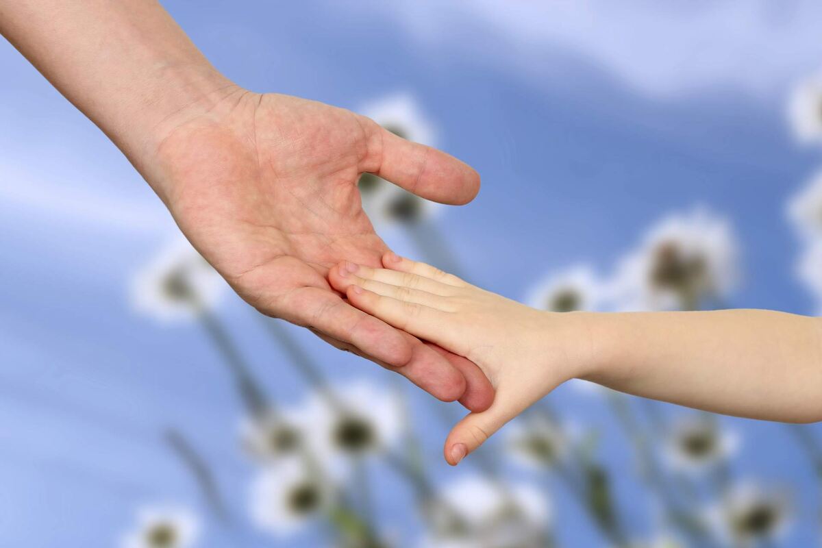 Взято из: Яндекс Картинки