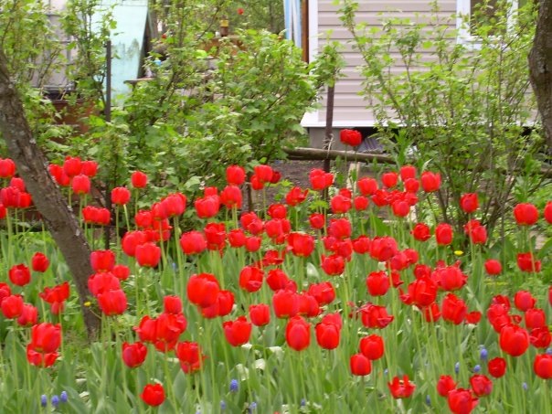 Фото автора.