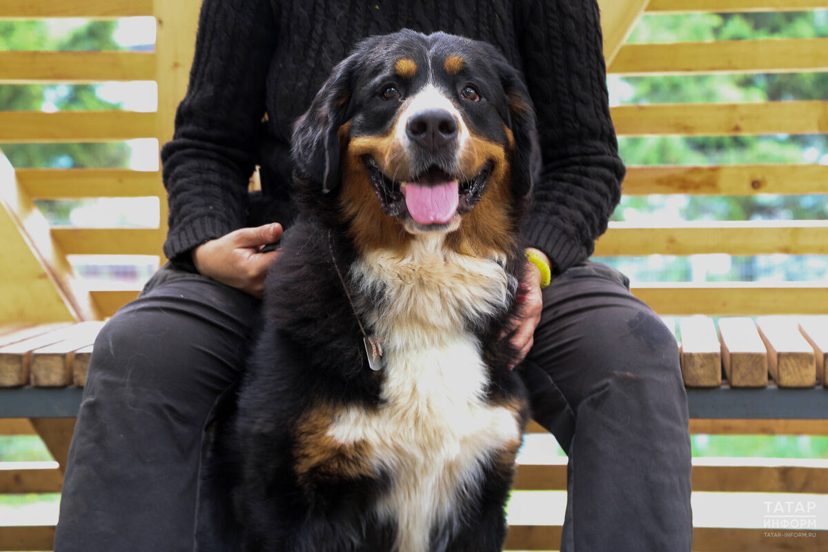 Фото: © Салават Камалетдинов / «Татар-информ»