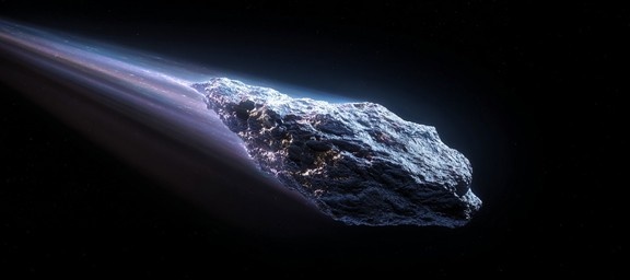 древо жизни