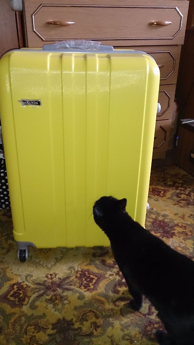 Оценка чемодана - Блогер в 60+ | Евгения Бровкина