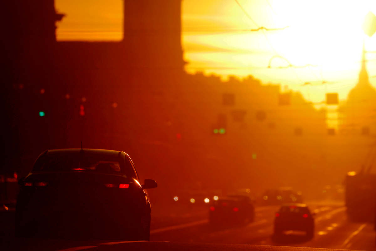 Фото: Дарья Иванова
