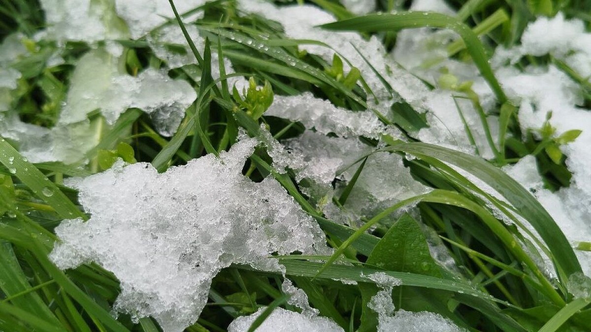    Фото: телеканал «Краснодар»