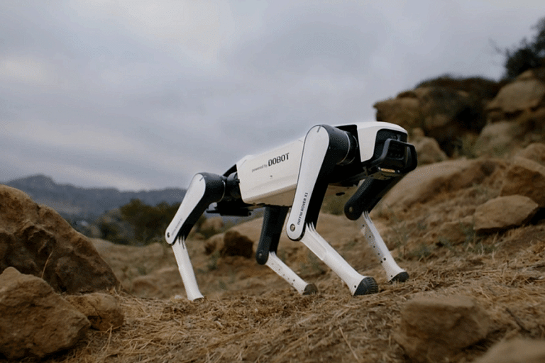 Робопес Rover X1. Источник: официальная видеопрезентация робопса