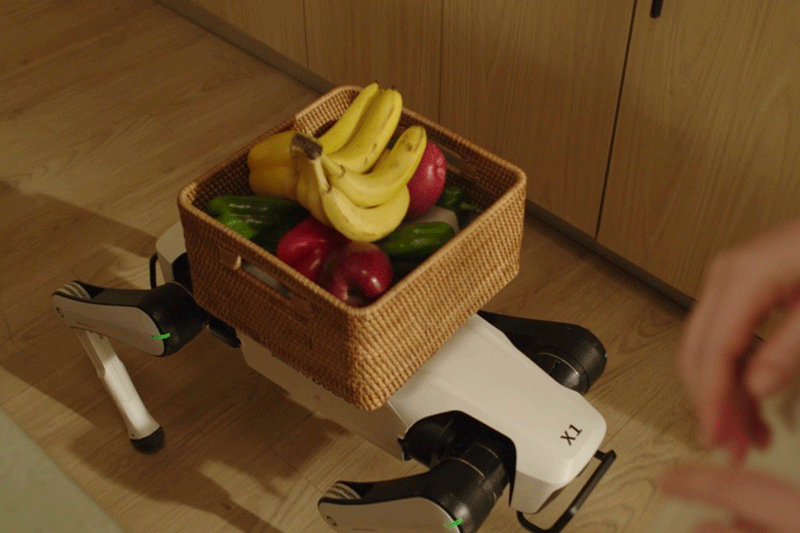 Робопес Rover X1 дома: таскает продукты как доставщик