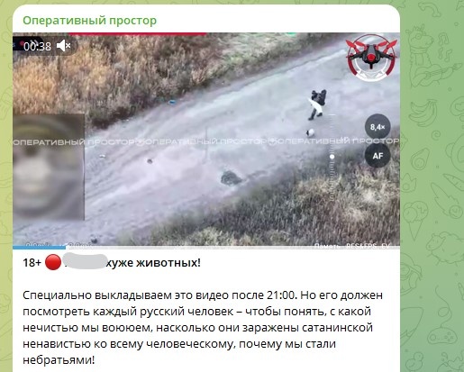 Скриншот: Telegram/"Оперативный простор"