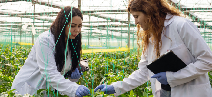 университет Синергия 