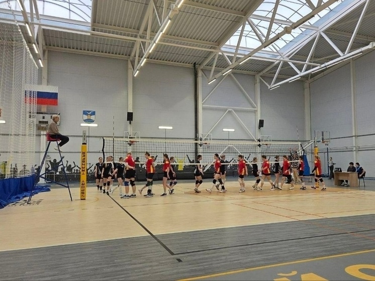     Калининградские студентки поборолись за победу на соревнованиях по волейболу. ФОТО: пресс-служба колледжа сервиса и туризма.