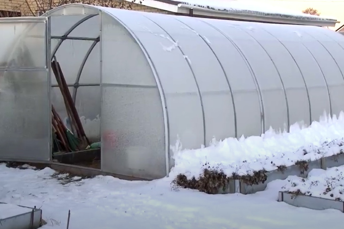 Календарь садовода-огородника: что нужно успеть сделать с 10 по 15 ноября 2025 года