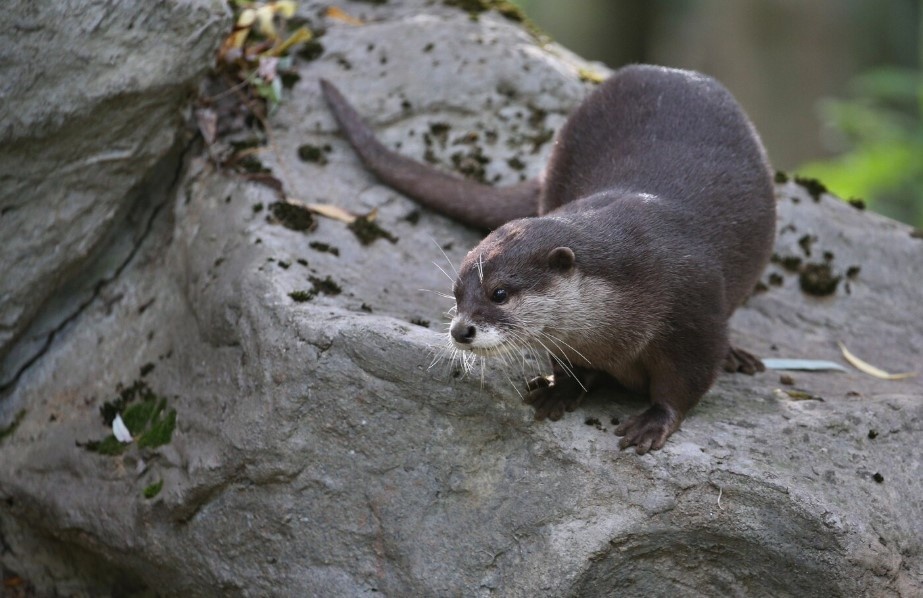    фото: фрипик