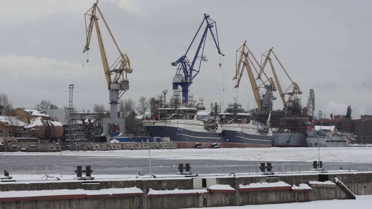    Фото: Zamir Usmanov/Global Look Press