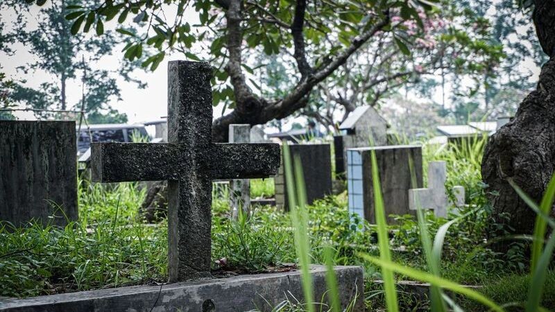    Фото: Cans Creative/Shutterstock/Fotodom