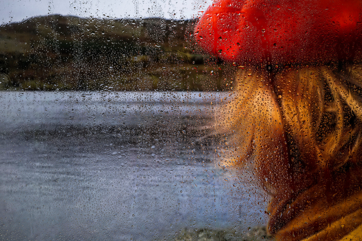 Изображение взято с сайта freepik.es 