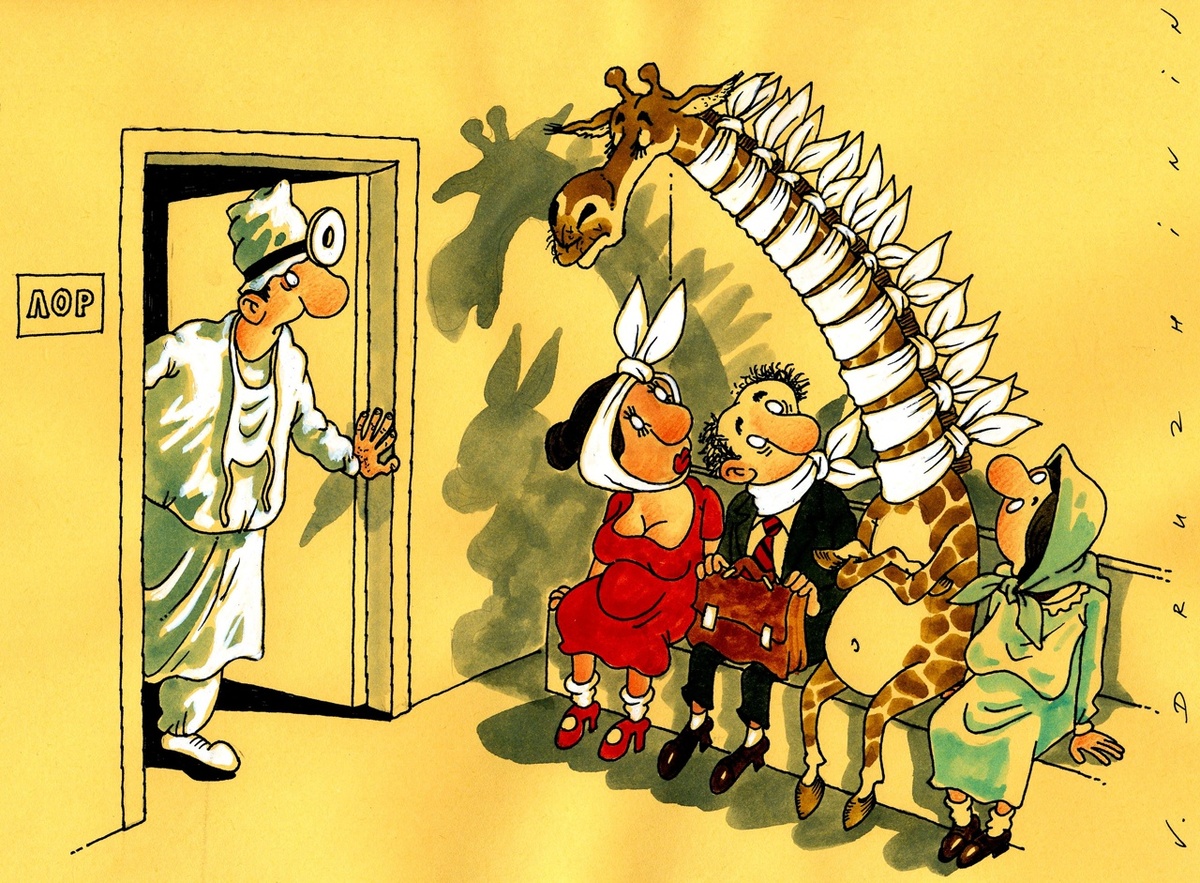 День Единого здоровья. 