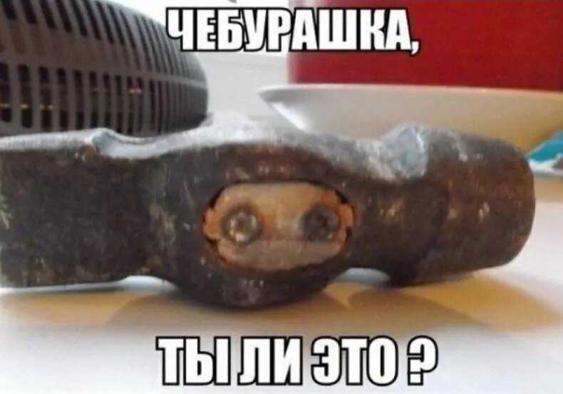 Источник: соцсети