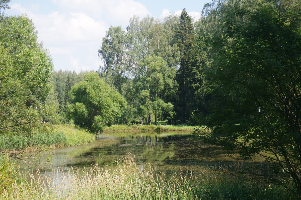 трудно поверить, что ещё несколько месяцев назад всё было изумрудно-зелёным!