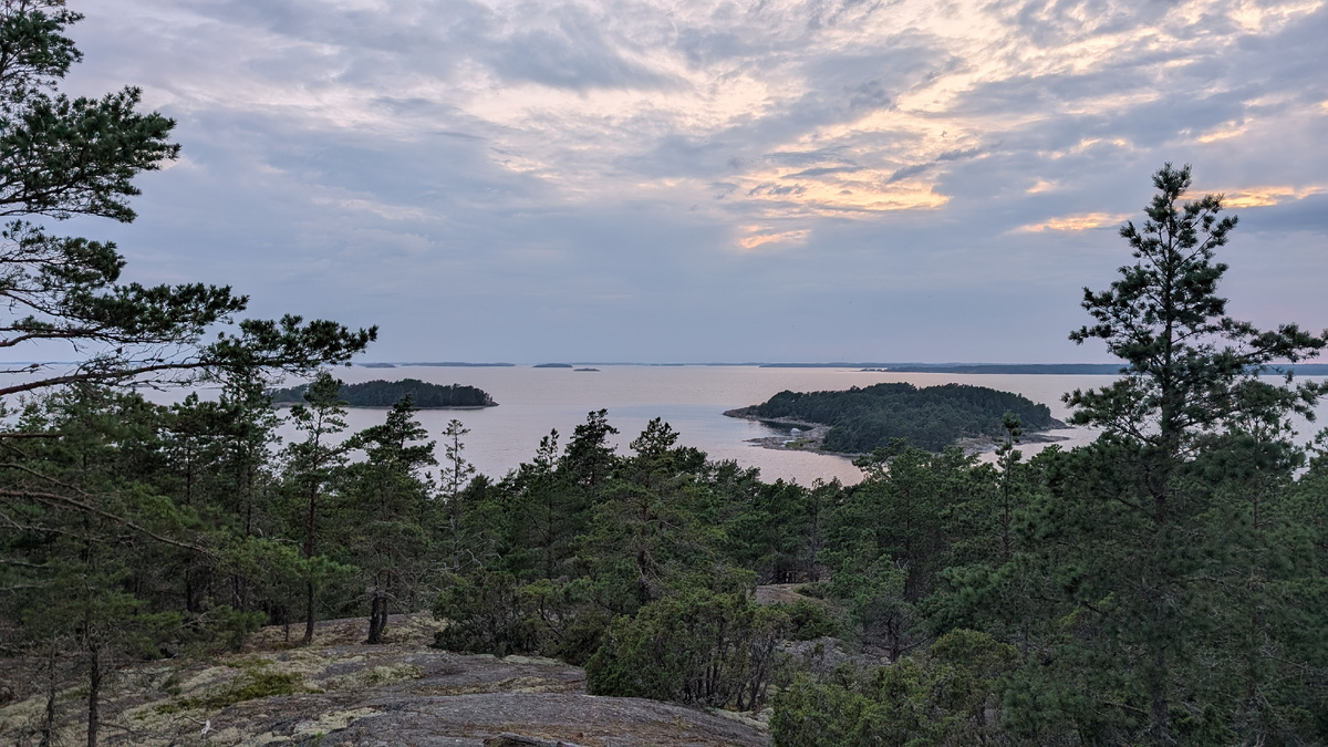 Вид со смотровой башни